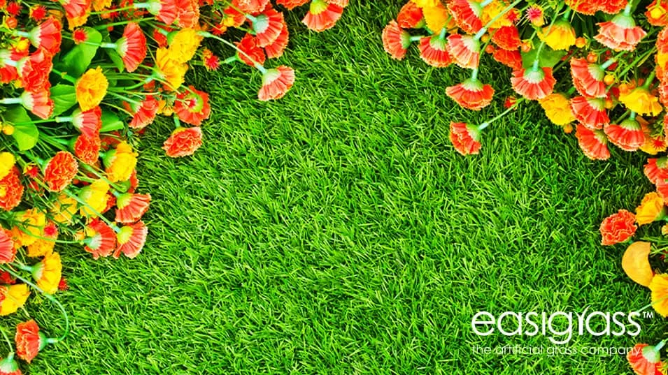 Spring Gardening Tips