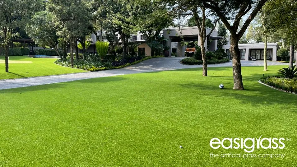 Facts About Artificial Easigrass Grass