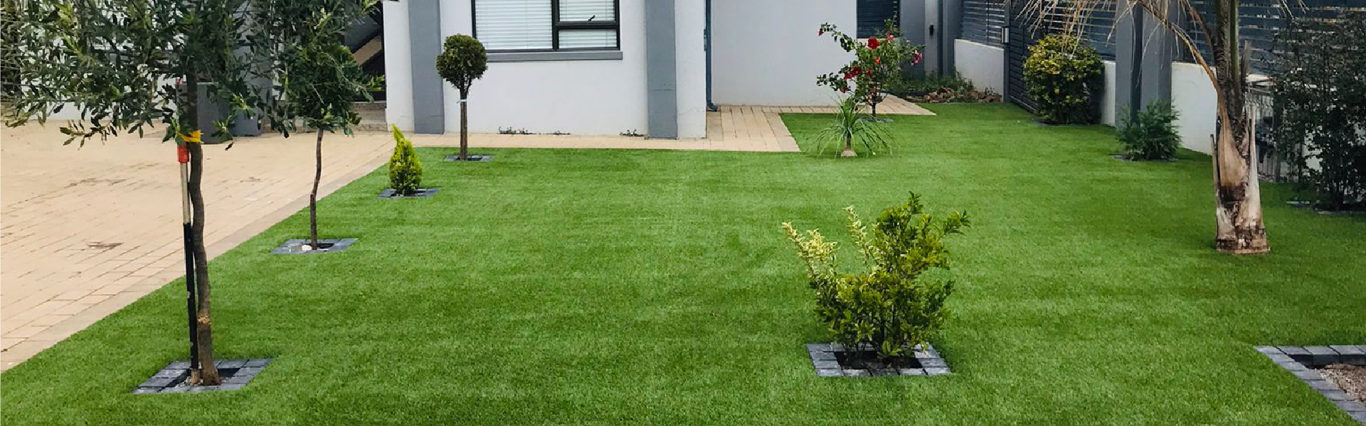easigrass pretoria
