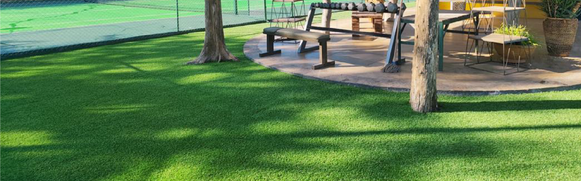 easigrass zimbabwe