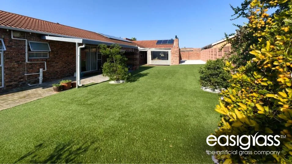 five ways easigrass prepares you for winter