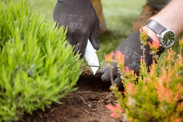 artificial grass hands knife detailed inspection