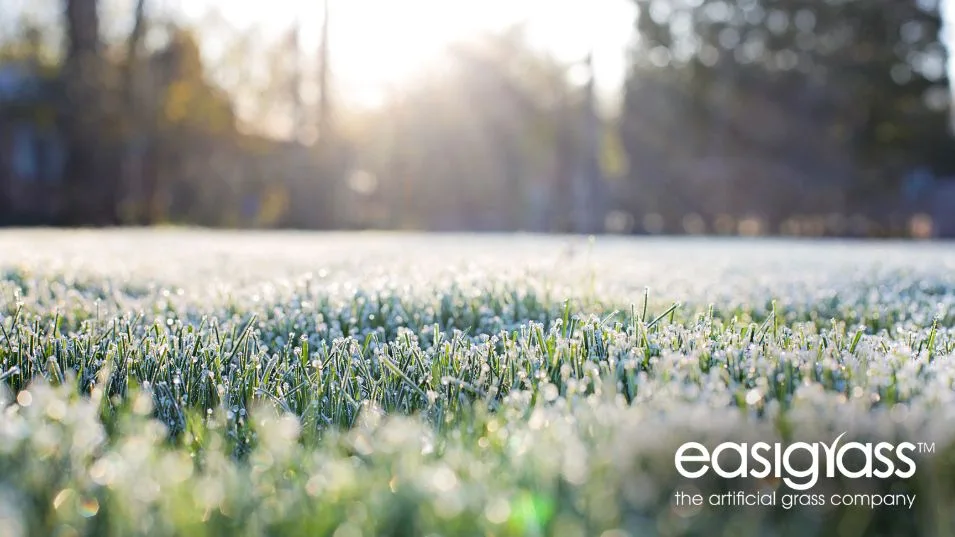 3 ways artificial grass holds up in cold weather