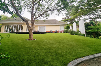 artificial grass for homes (2)