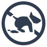 artificial grass no patchy lawn