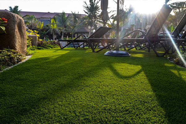 artificial grass public